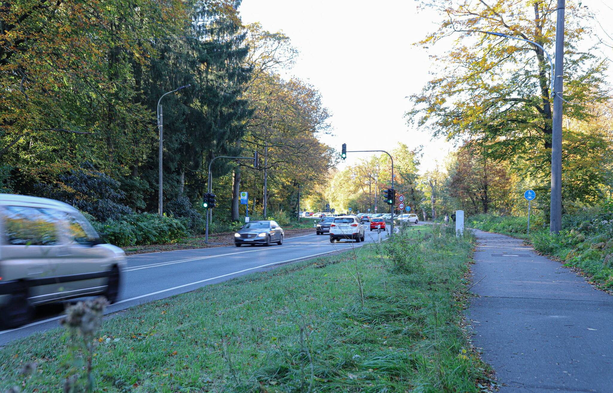 Die L419 an der Parkstraße.