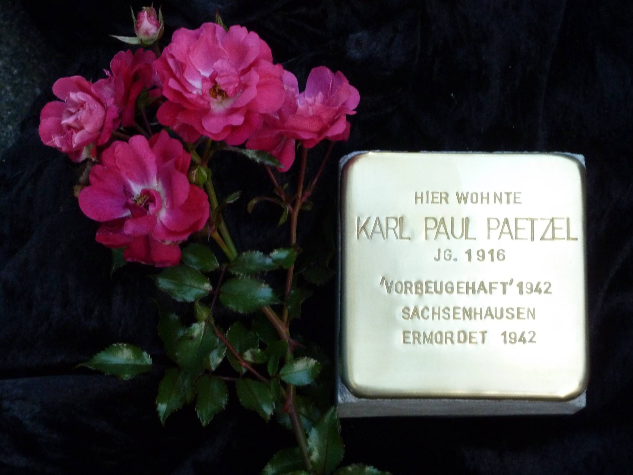  Der Stolperstein für Karl Paul Paetzel. 