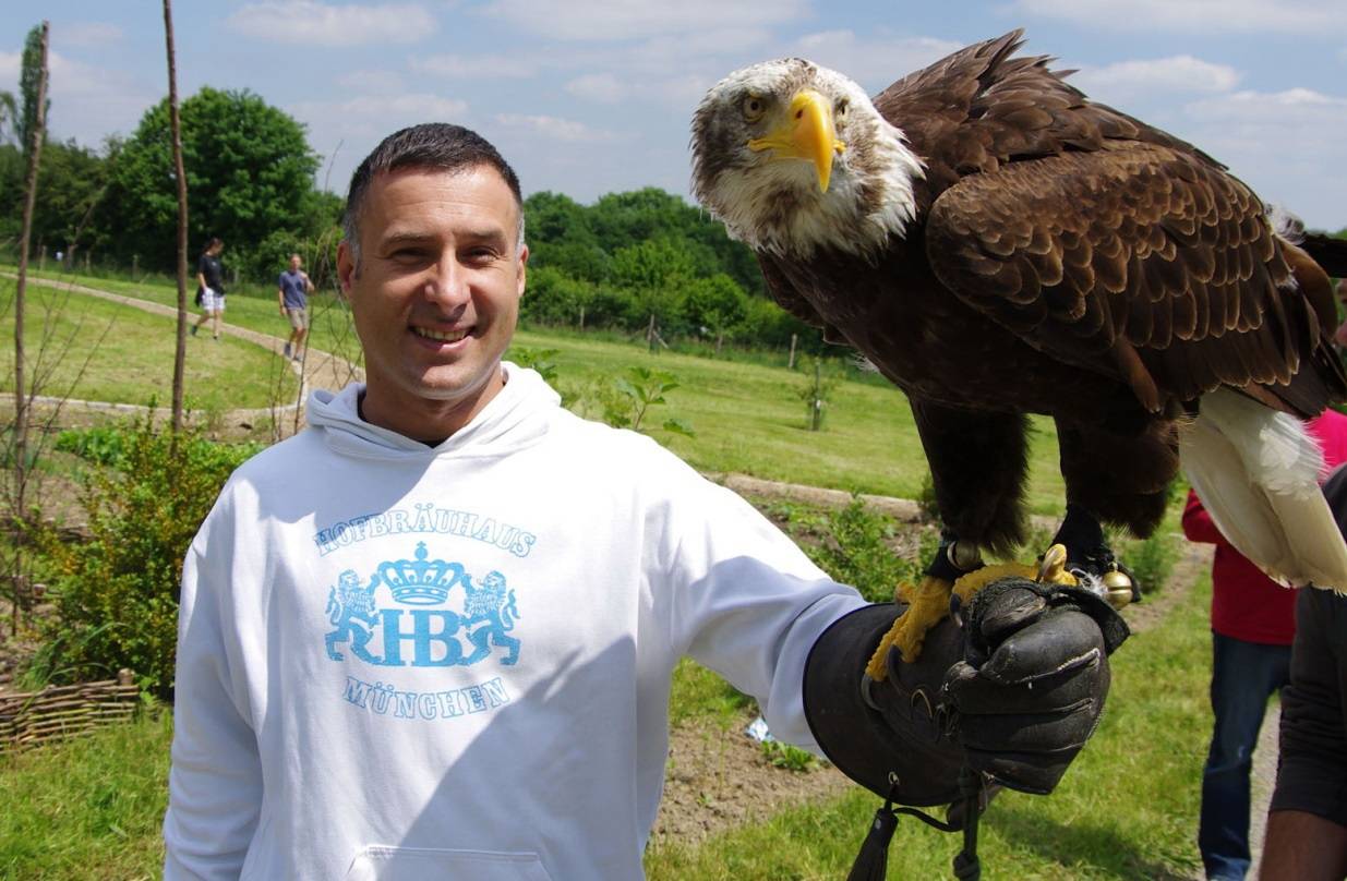  Auch die Greifvögel sind wieder dabei. 