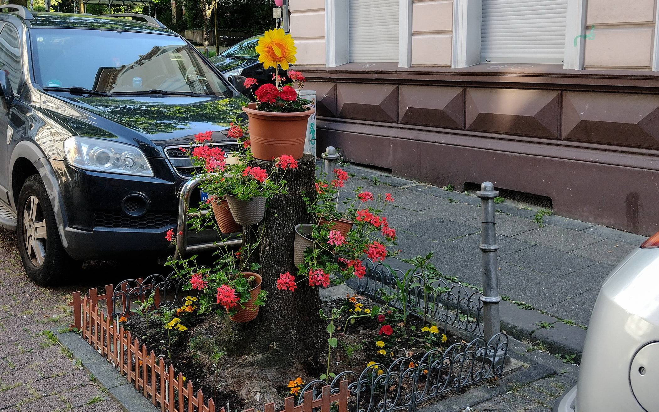 Der Hingucker auf dem Ölberg.
