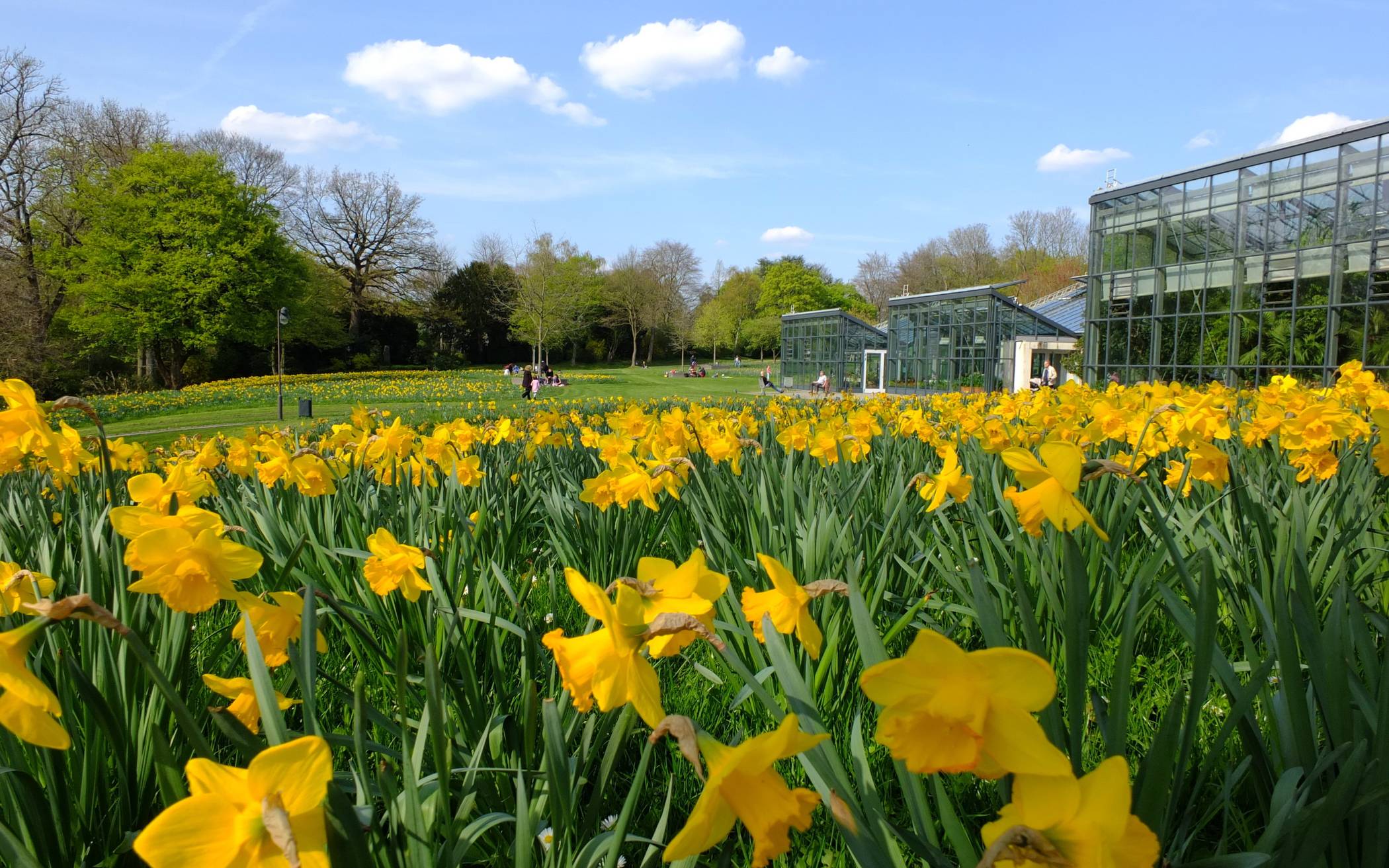 Die Glashäuser auf der Hardt (re.).