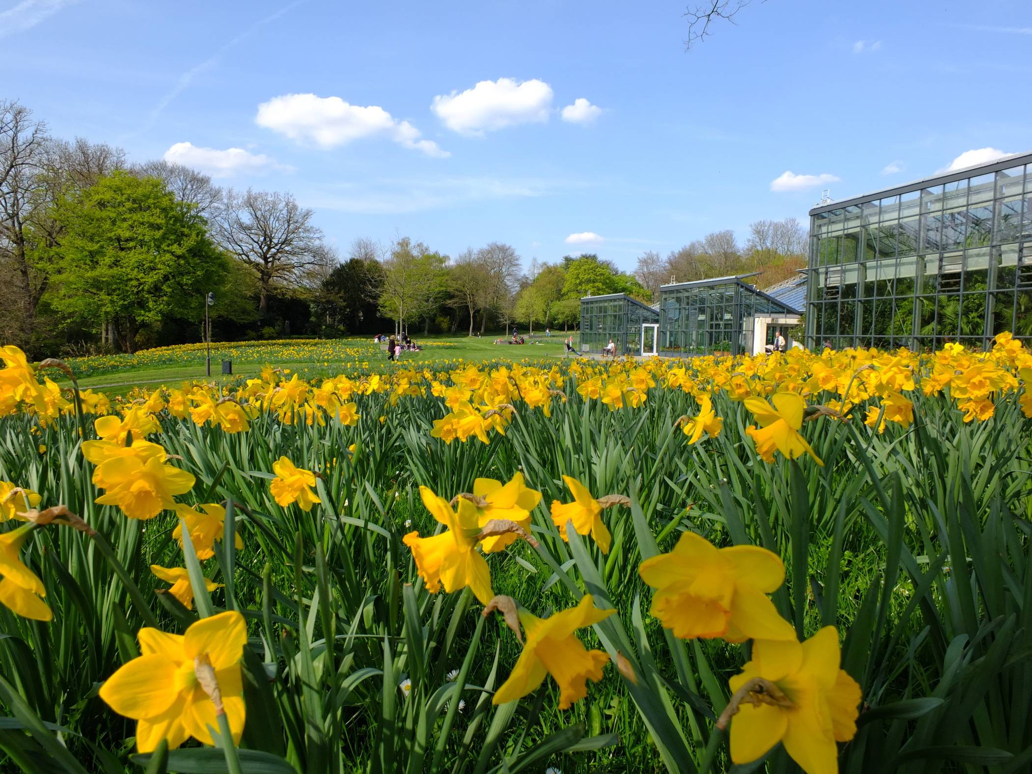 Die Glashäuser auf der Hardt (re.).