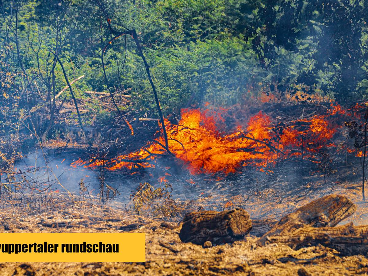 Feuerwehr bekämpft Waldbrand in Wuppertal