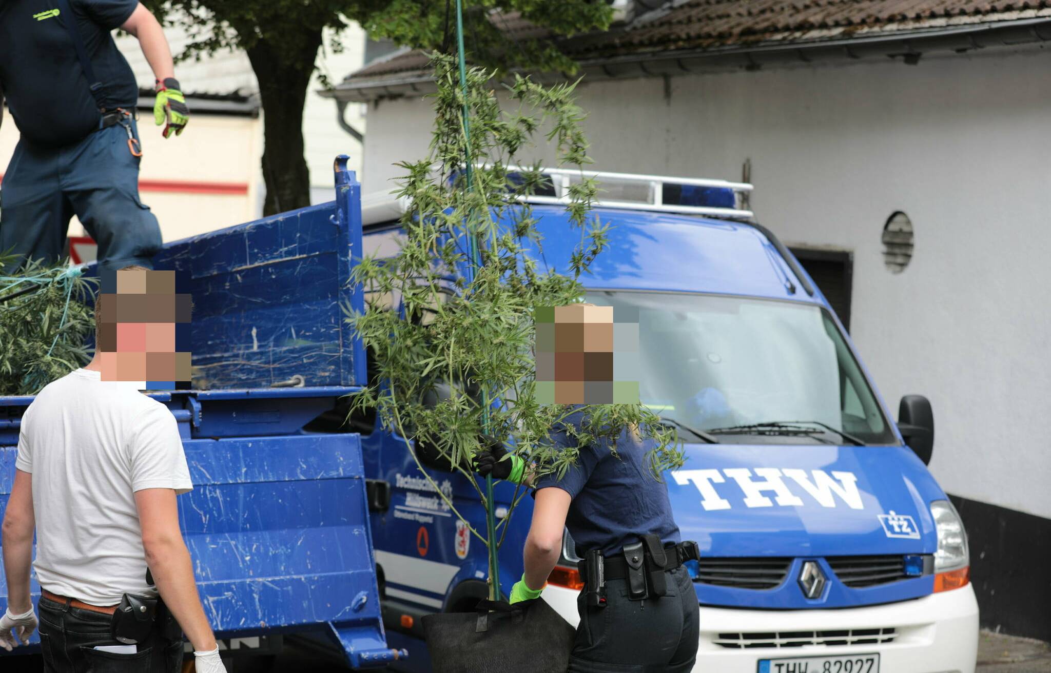  Polizei und THW transportierten die Pflanzen ab. 