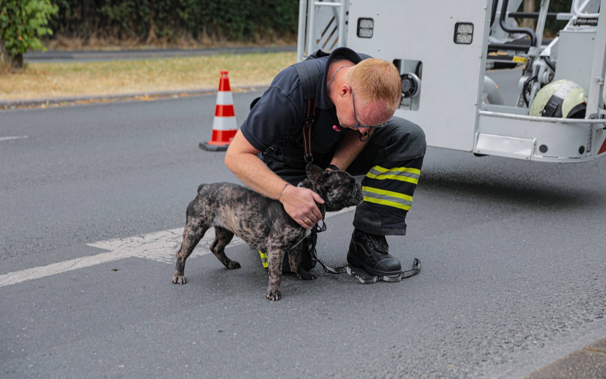 Bilder: Wuppertaler Feuerwehr evakuiert Hund von Flachdach​