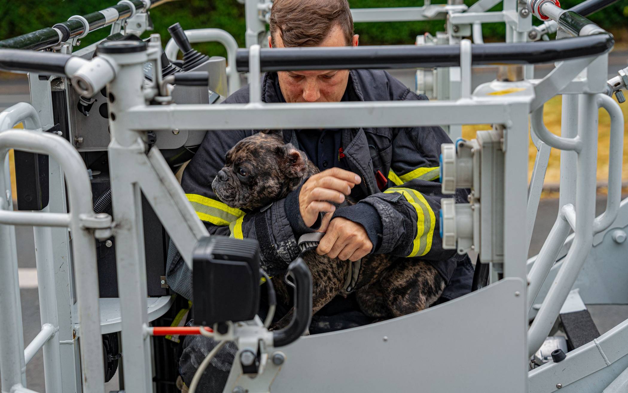 Feuerwehr evakuiert Hund über Drehleiter