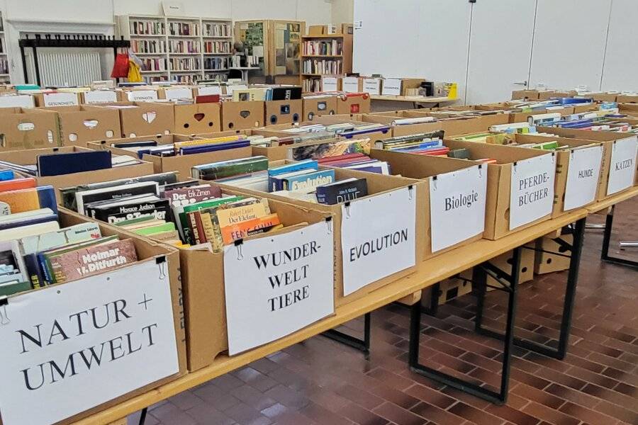 Büchermarkt: Sommerzeit ist Lesezeit
