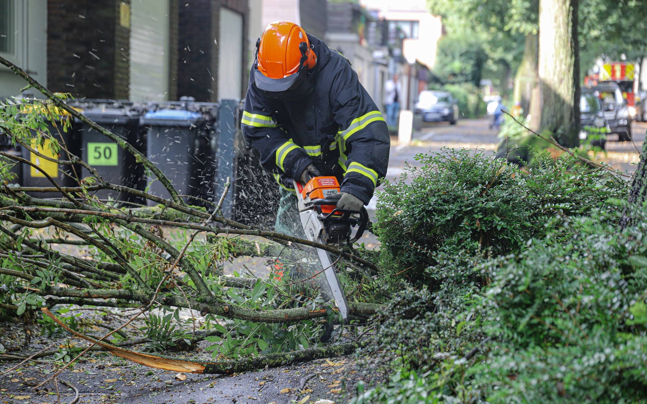 Umgestürzter Baum: Feuerwehr-Einsatz in der Talstraße​