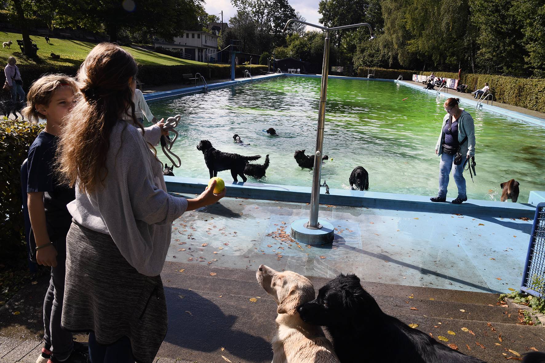 Sonntag: Hundeschwimmen im Freibad Eckbusch