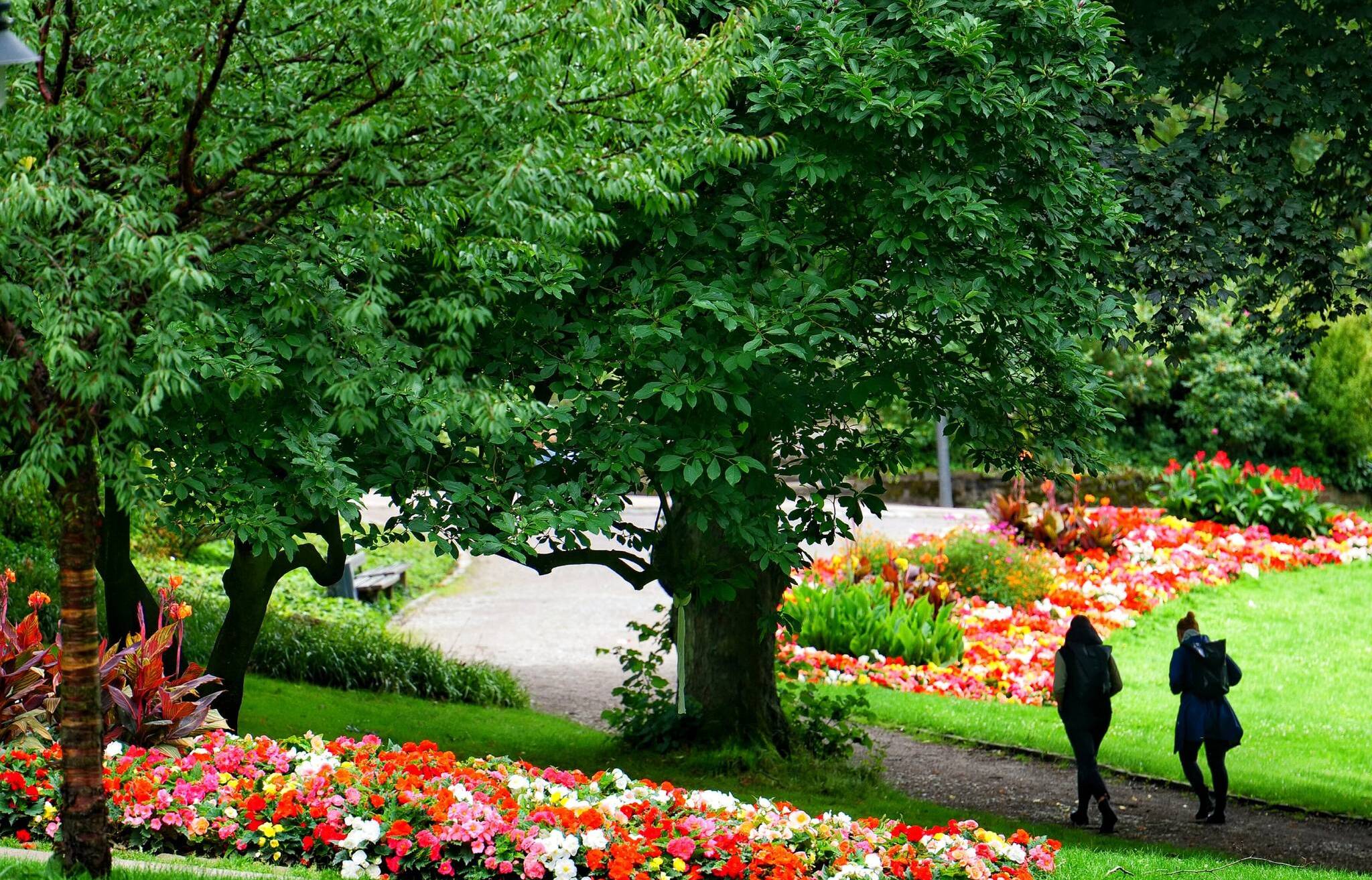  Der Botanische Garten bietet Platz für ausgiebige Spaziergänge. 