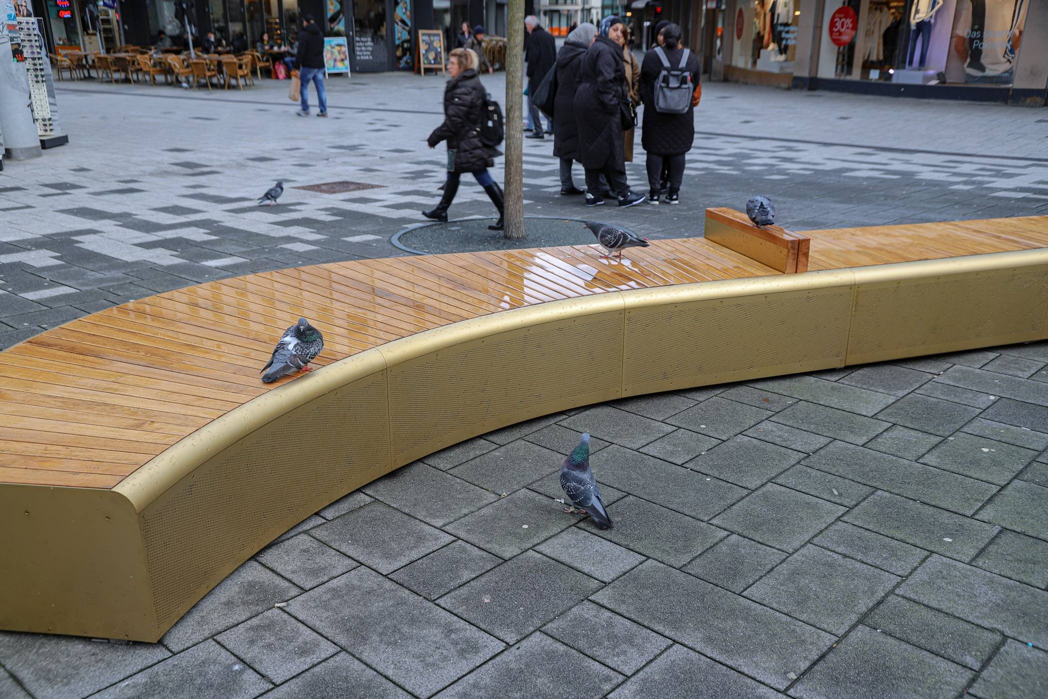  Tauben in der Elberfelder City. 