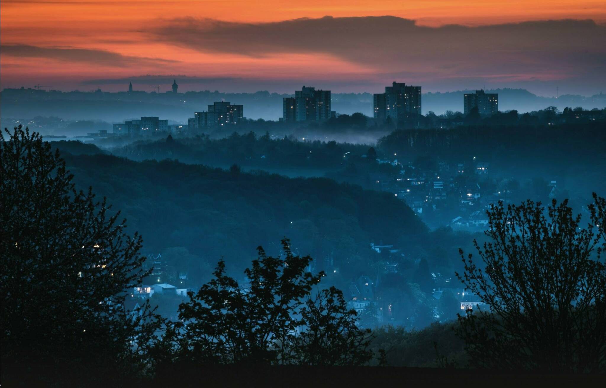 Angela Dröscher: Eckbusch im...