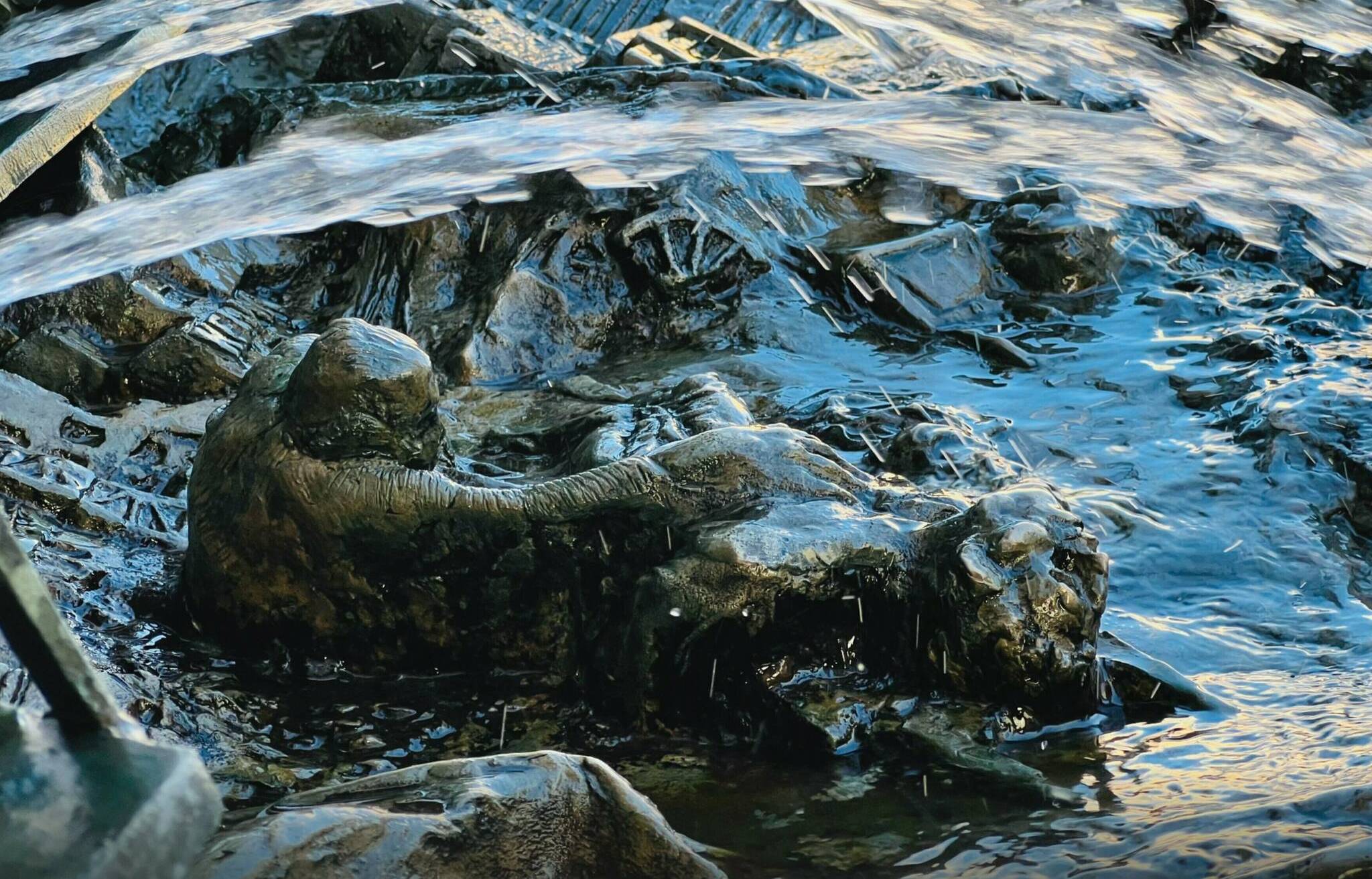 Martin Müller: Die Wasserstrahlen schützend über dem...