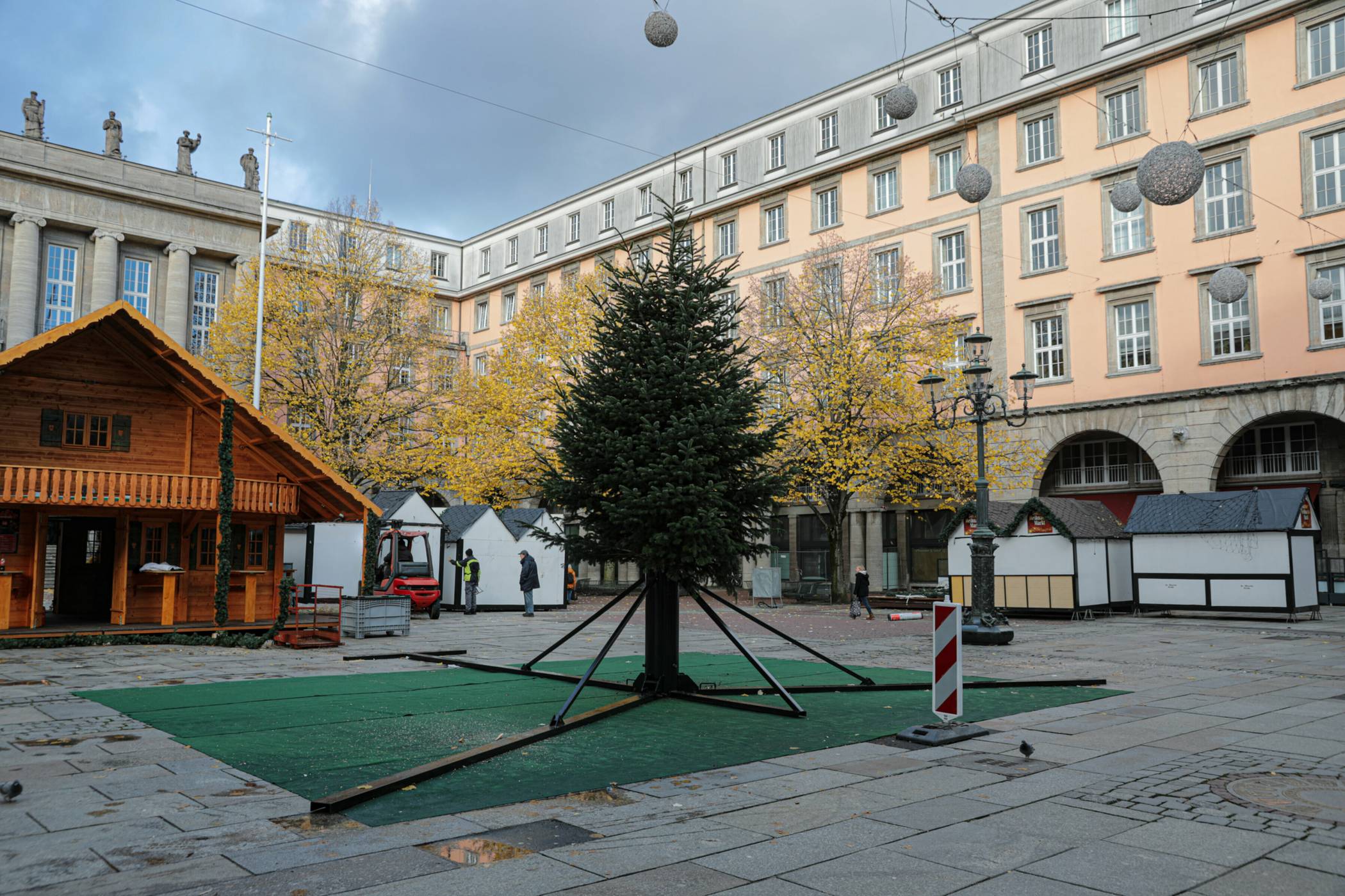 Der bereits legendäre Baum in Barmen.
