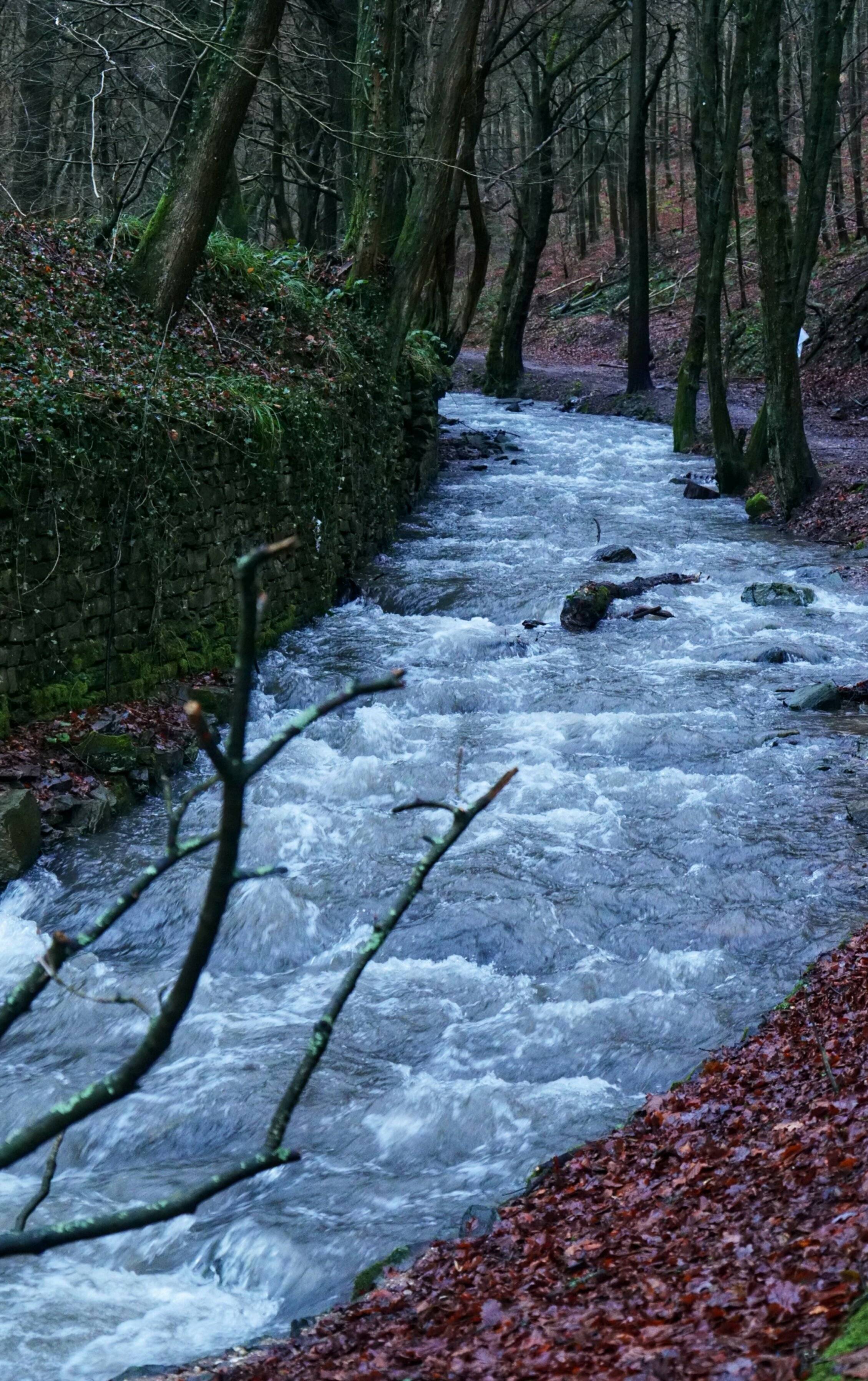 Bilder Volle Wupper, reißender Burgholzbach