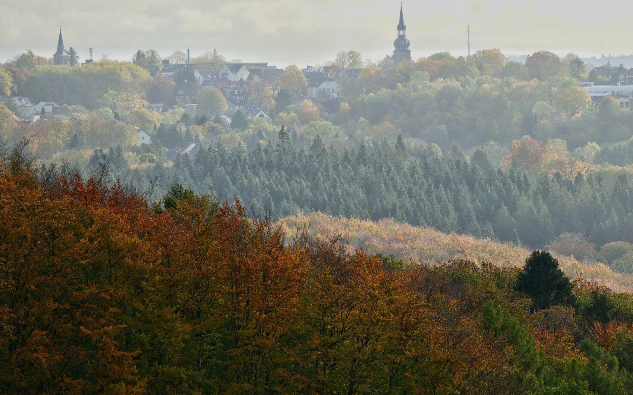 Der Herbstwald mit Blick auf Cronenberg.