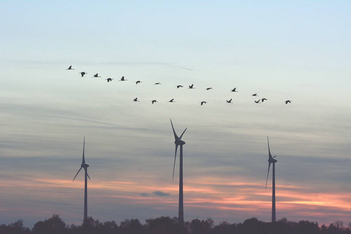 Windkraft – gut für die Umwelt,