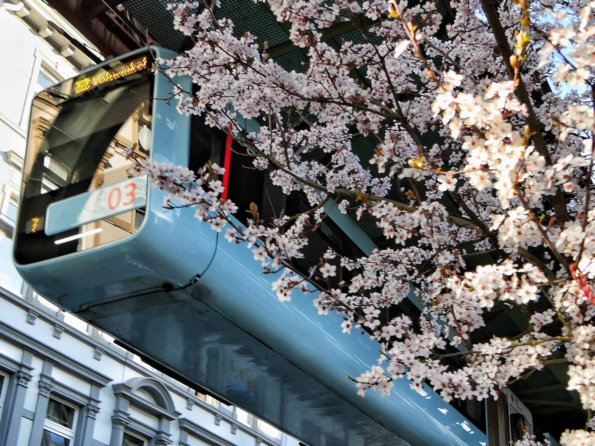 Zwischen Vohwinkel und Elberfeld
