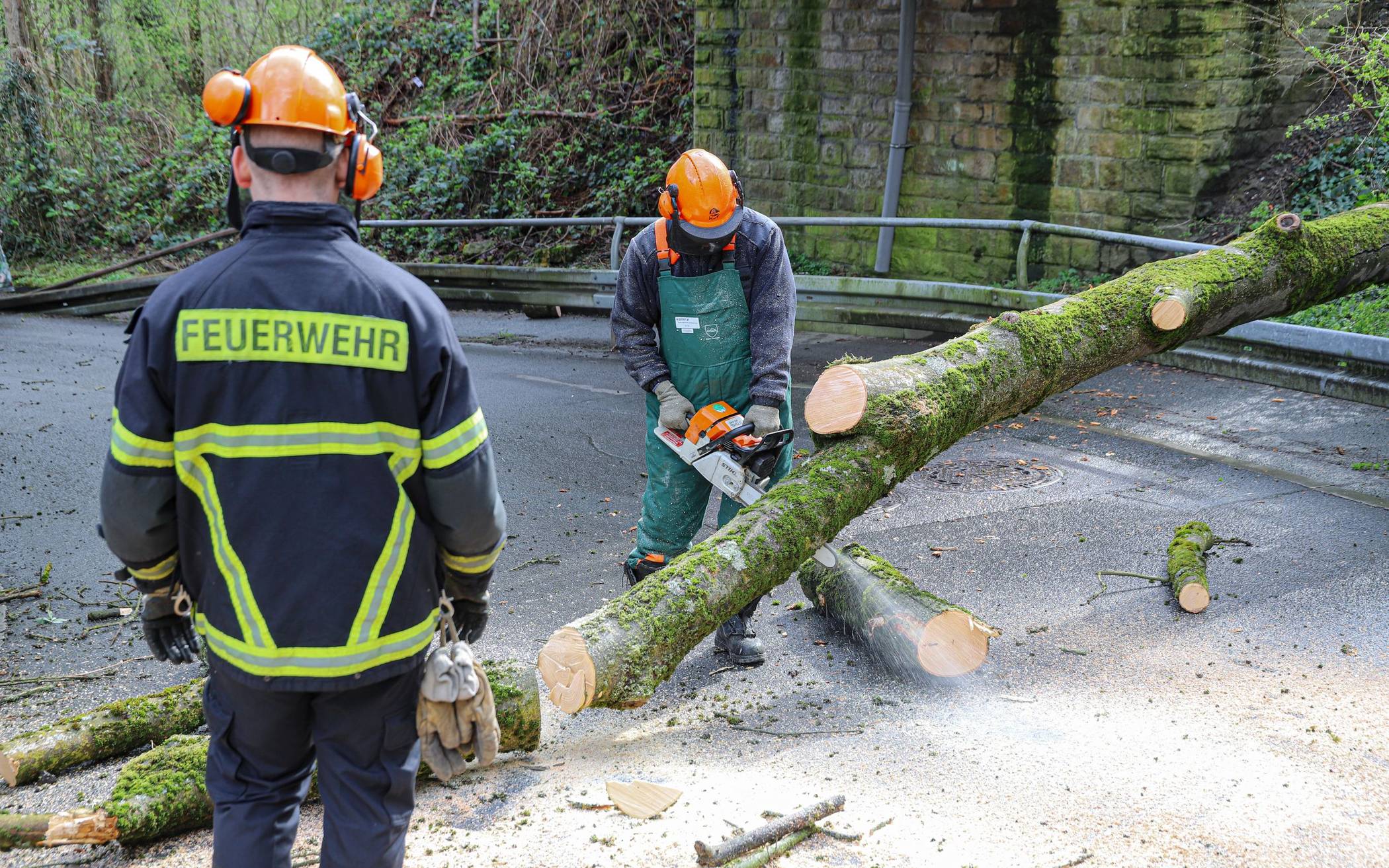 Bilder: Baum kippt auf in Wuppertal auf Straße​