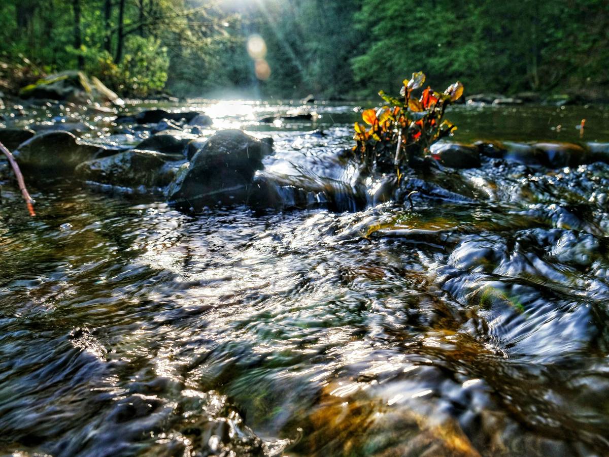 Frühling an der Wupper im April 2024
