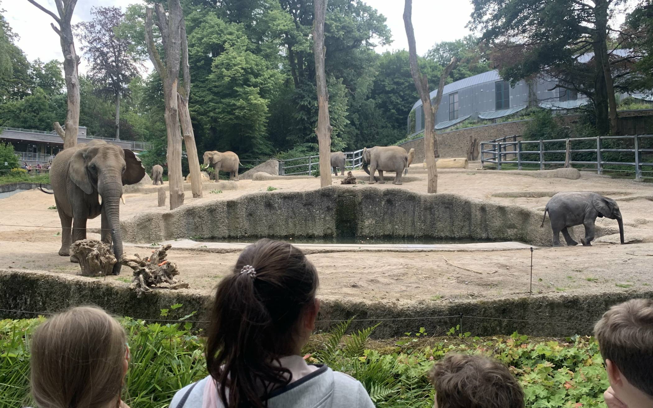 Kinder-Ferienfreizeit im Grünen Zoo Wuppertal