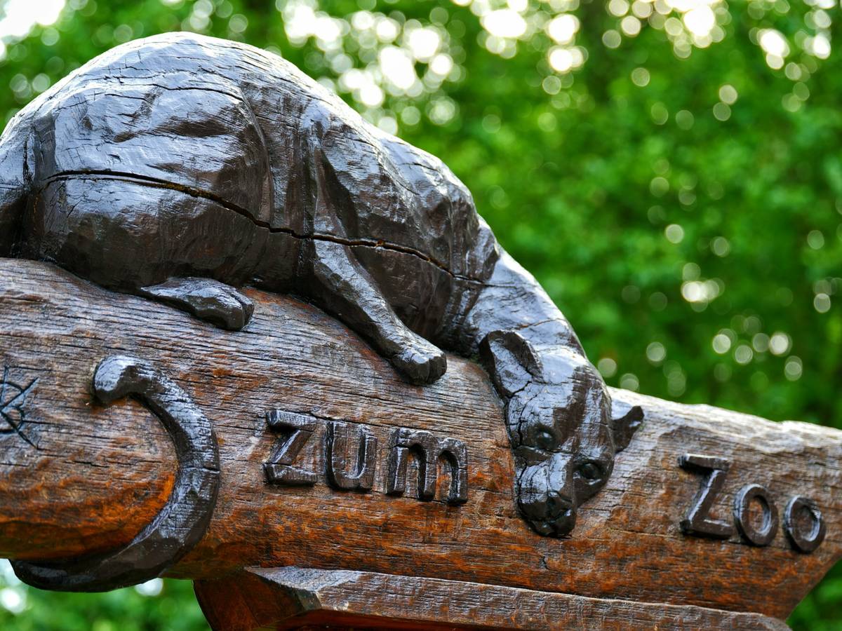 Streifzug durch das Zooviertel
