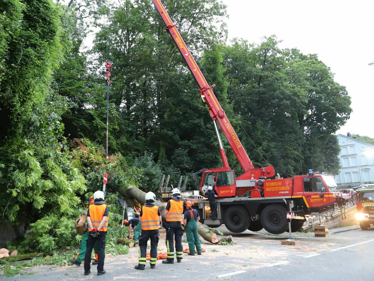 Baum kippt auf Straße
