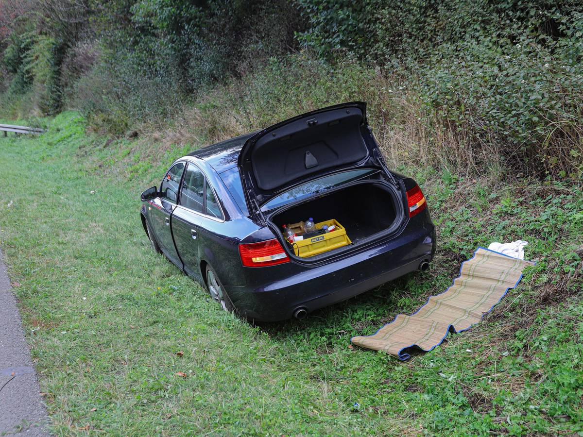 Audi landet auf A1 in der Vegetation
