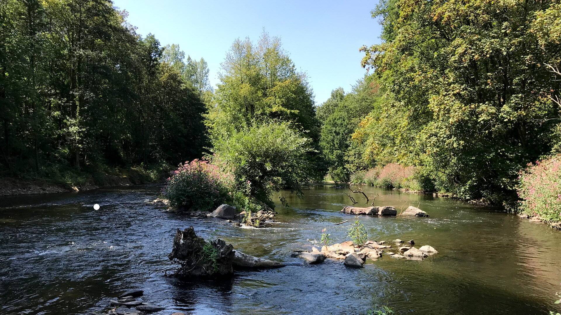  Die Wupper in Laaken nach der Renaturierung 2018. 