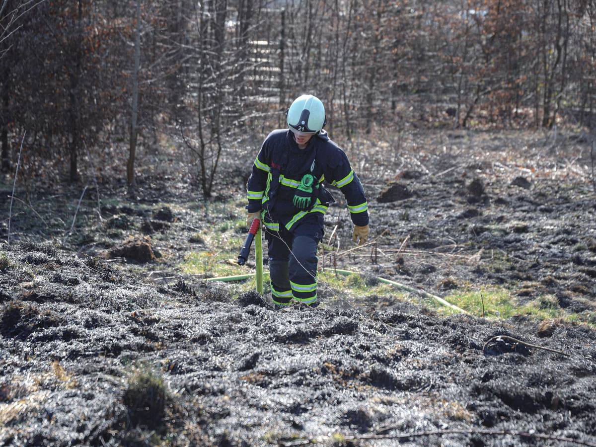 Wiesenbrand am Löhrerlen
