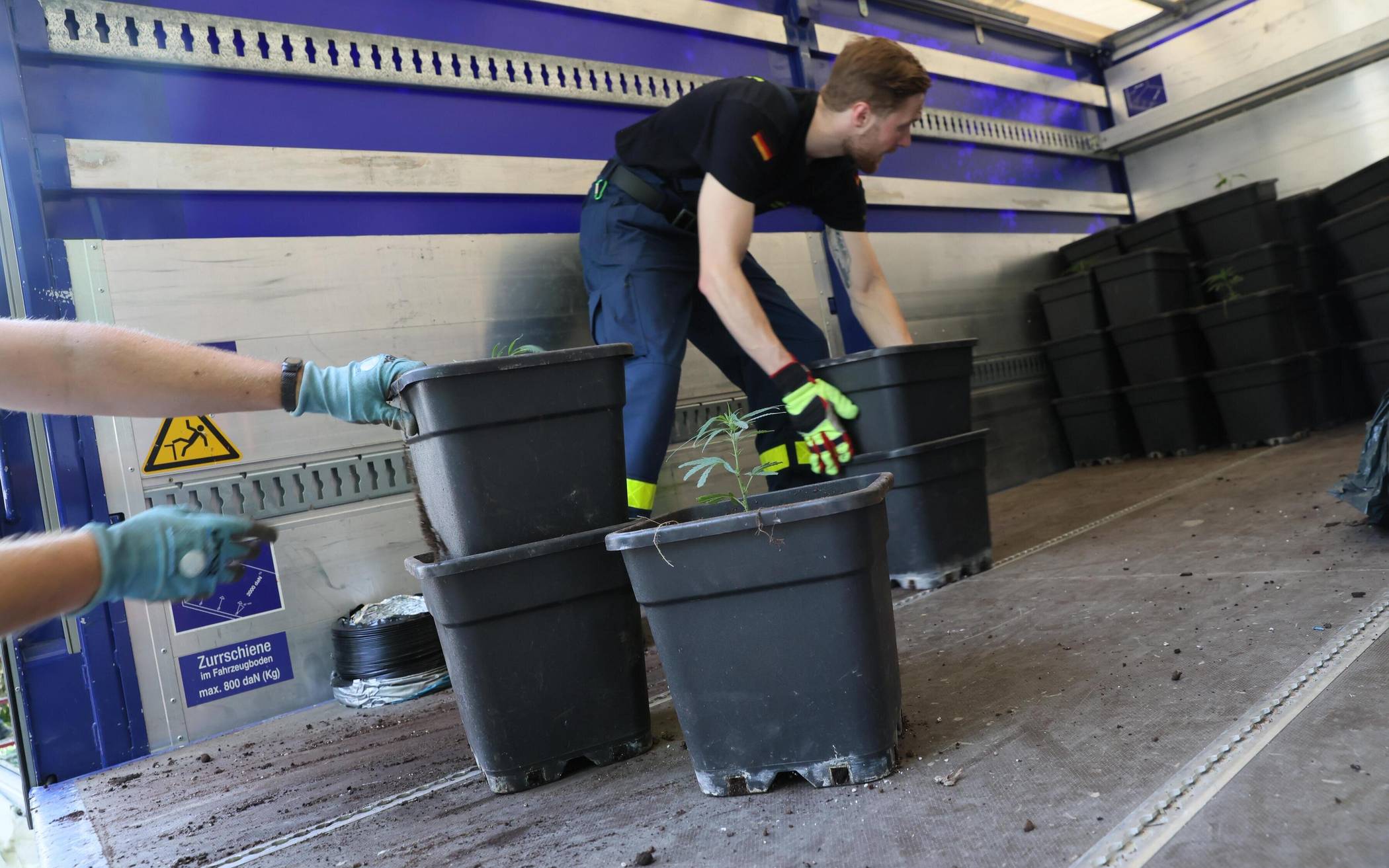 Das THW lud die Pflanzen auf