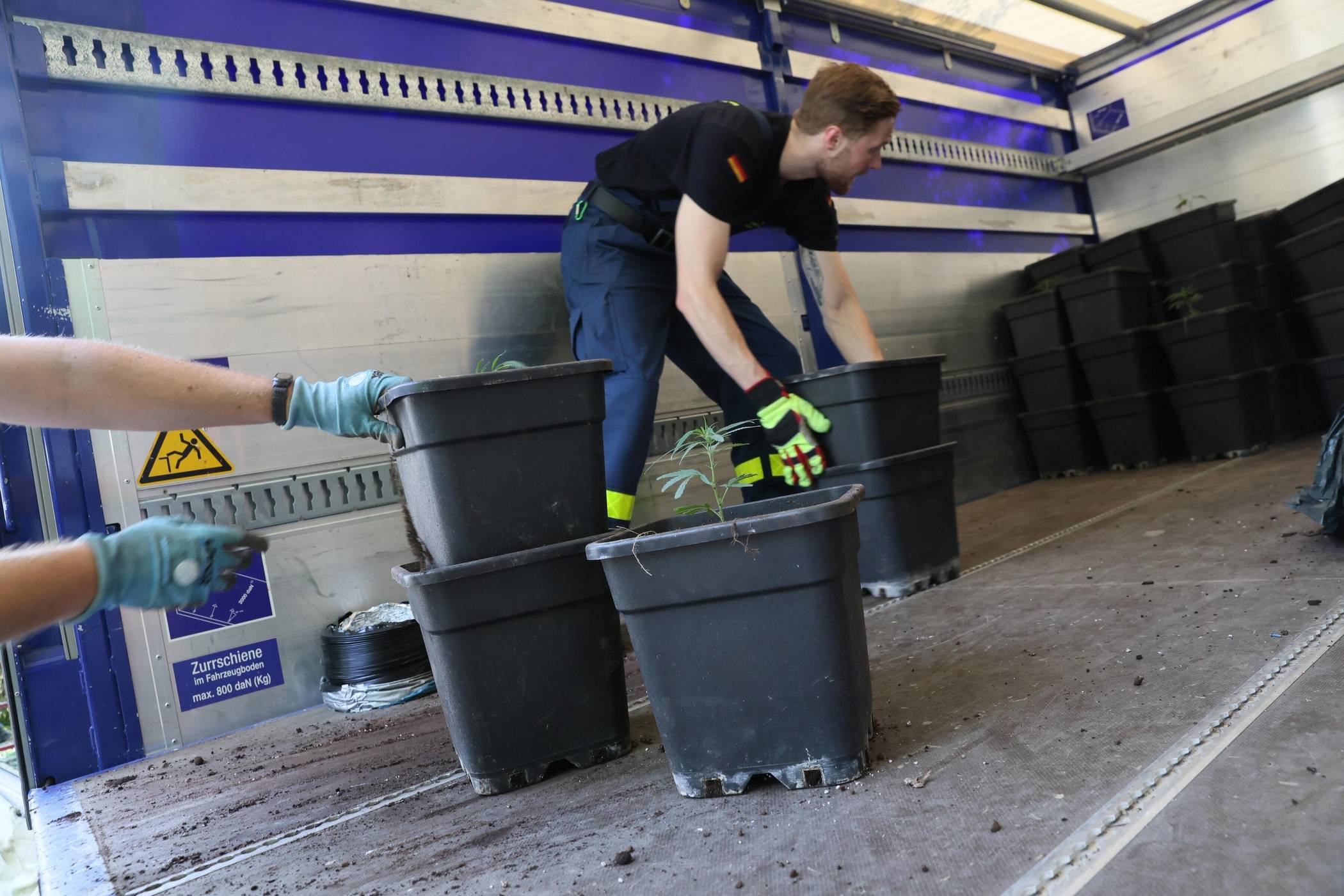 Das THW lud die Pflanzen auf und brachte sie weg.