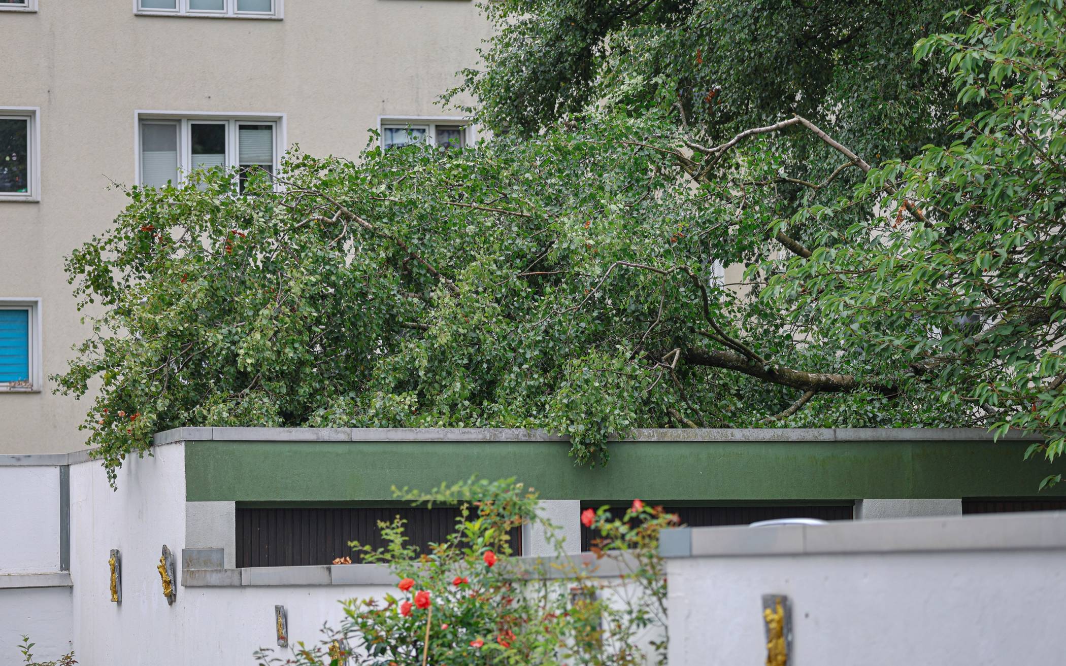 Ein großer Ast landete auf dem