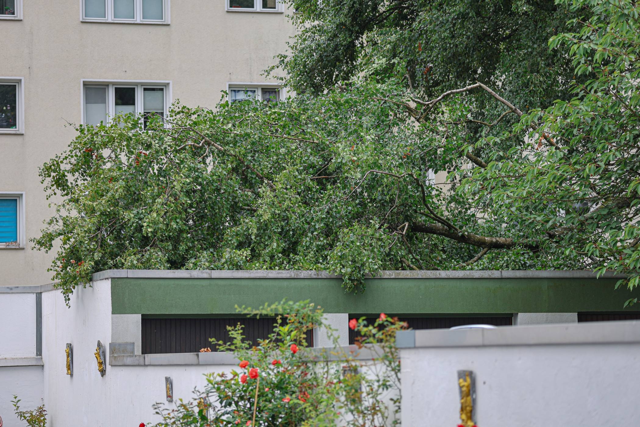  Ein großer Ast landete auf dem Garagendach. 