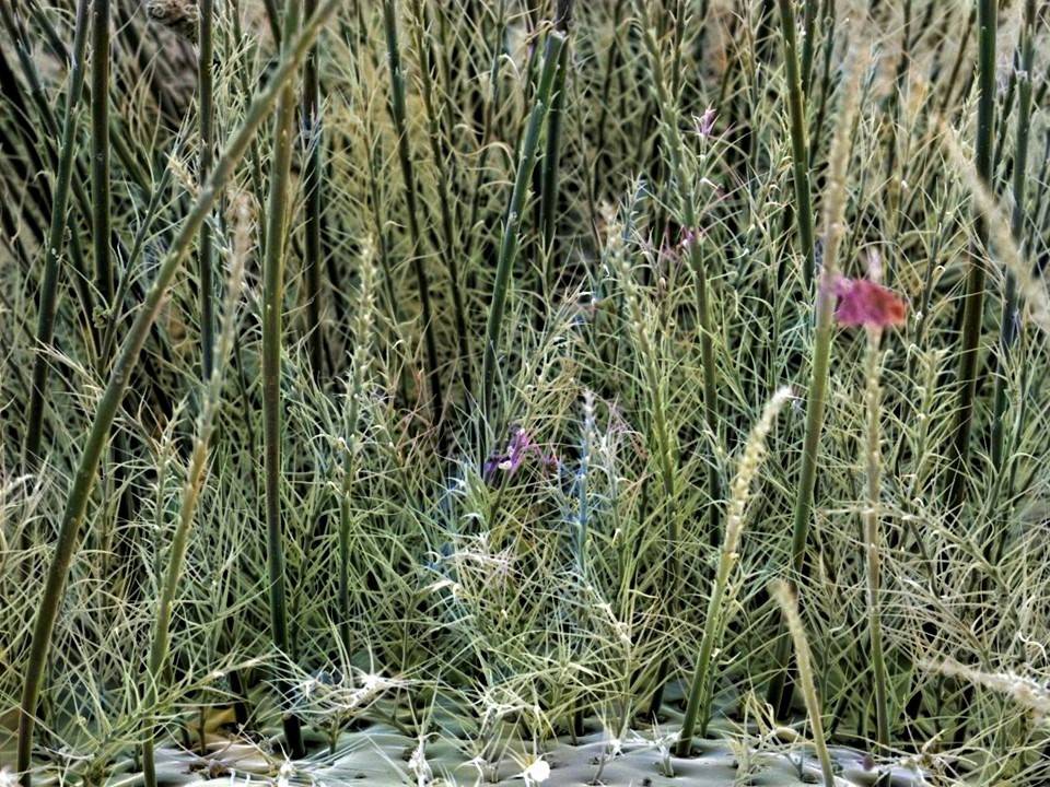 Bilder: Faszinierender Blick in menschlichen Körper