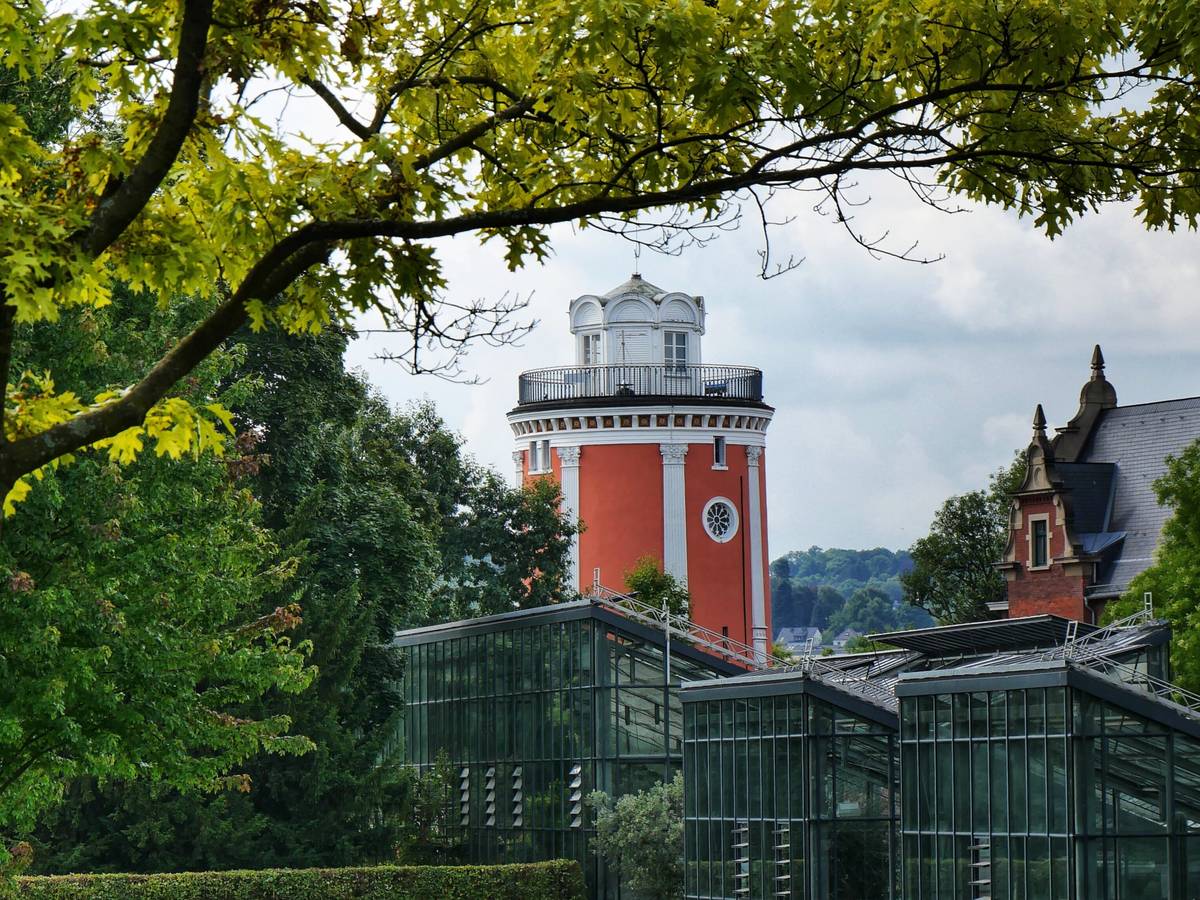 Blütenpracht im Botanischen Garten
