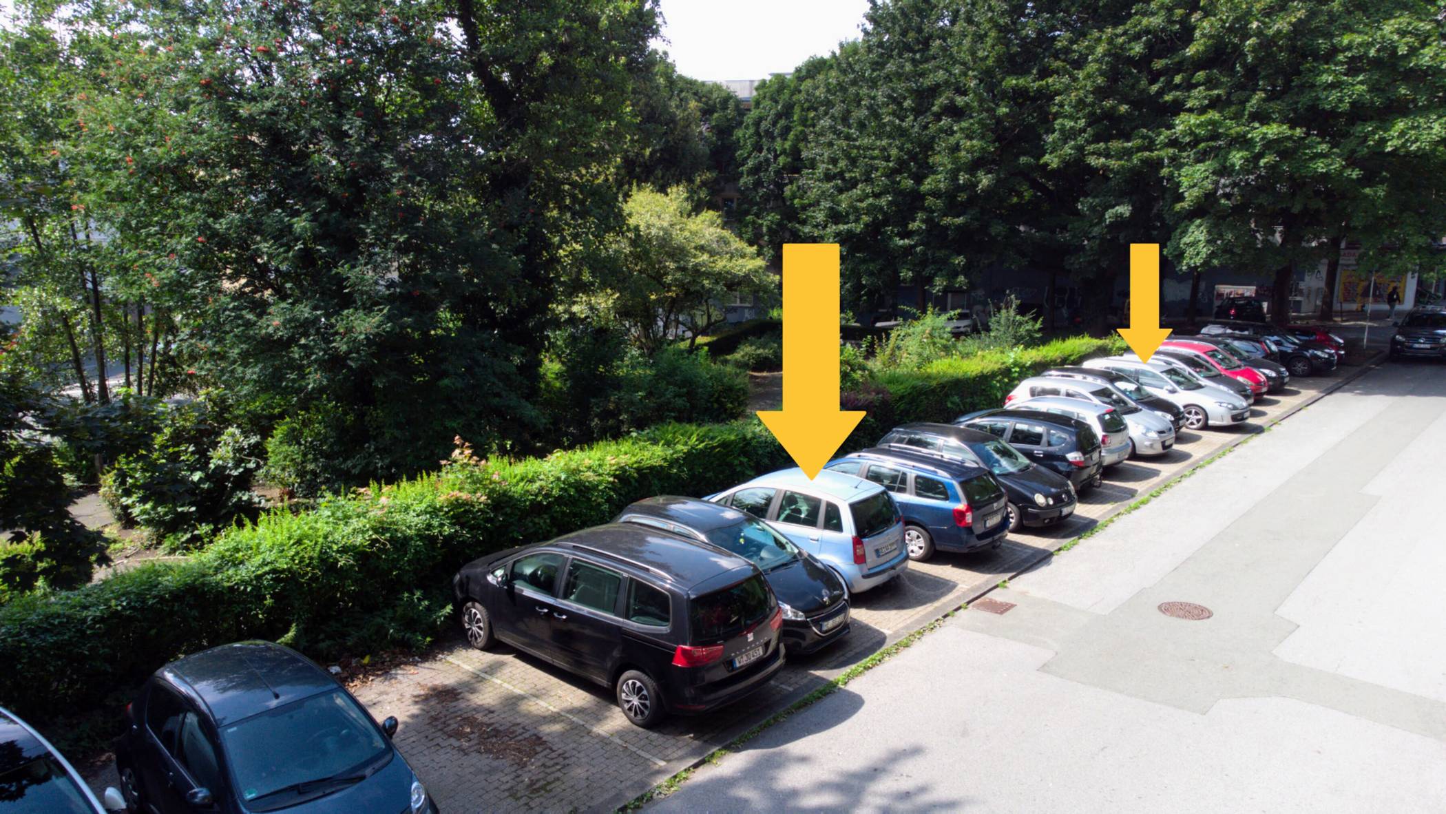  Der Parkplatz in der Südstadt. An den markierten Stellen sollen Bäume gepflanzt werden. 