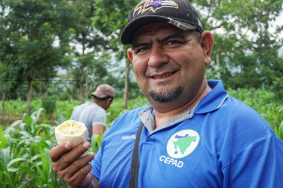  CEPAD unterstützt Bauern in Matagalpa bei einer nachhaltigen Landwirtschaft. 