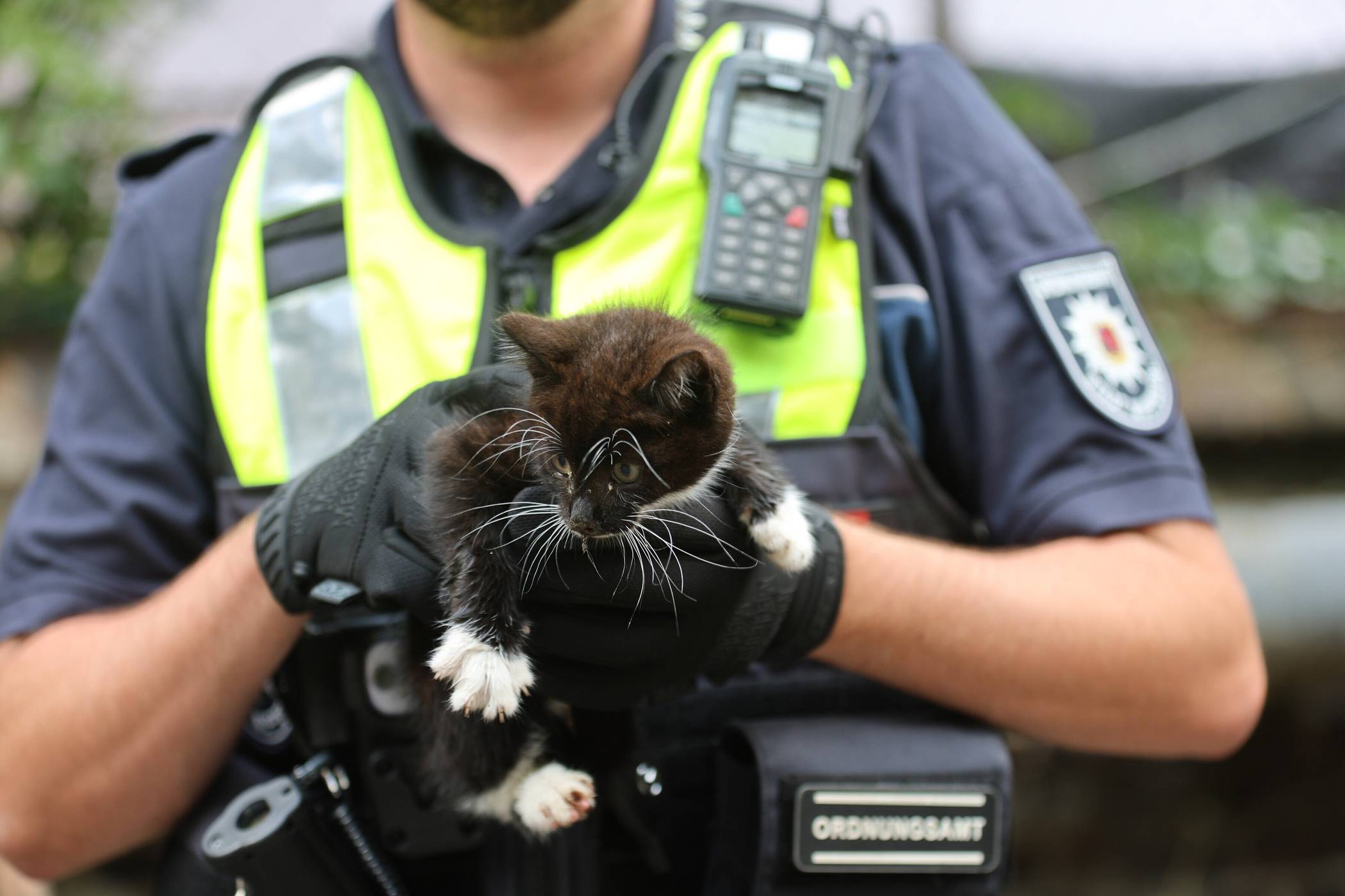 Ihre Rufe wurden erhört ...
