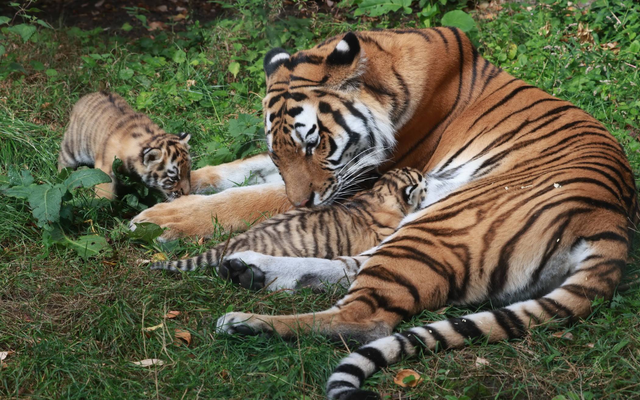 Bilder: Neues Kombiticket für Zoo und Visiodrom