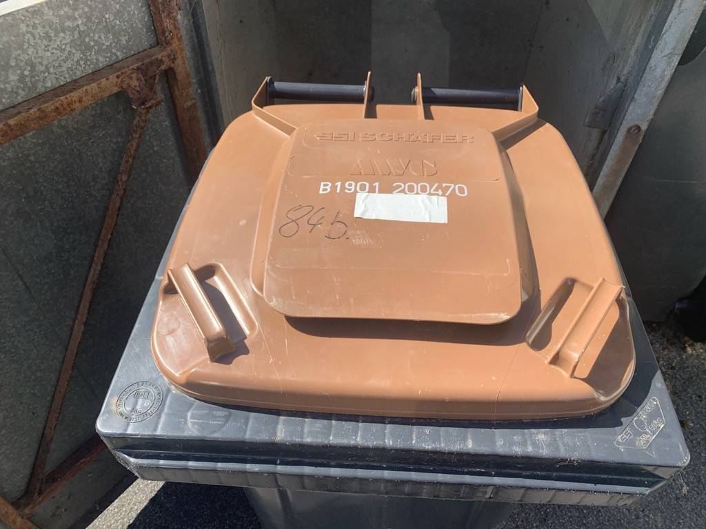 Auch Grünschnitt gehört in den Biomüll.