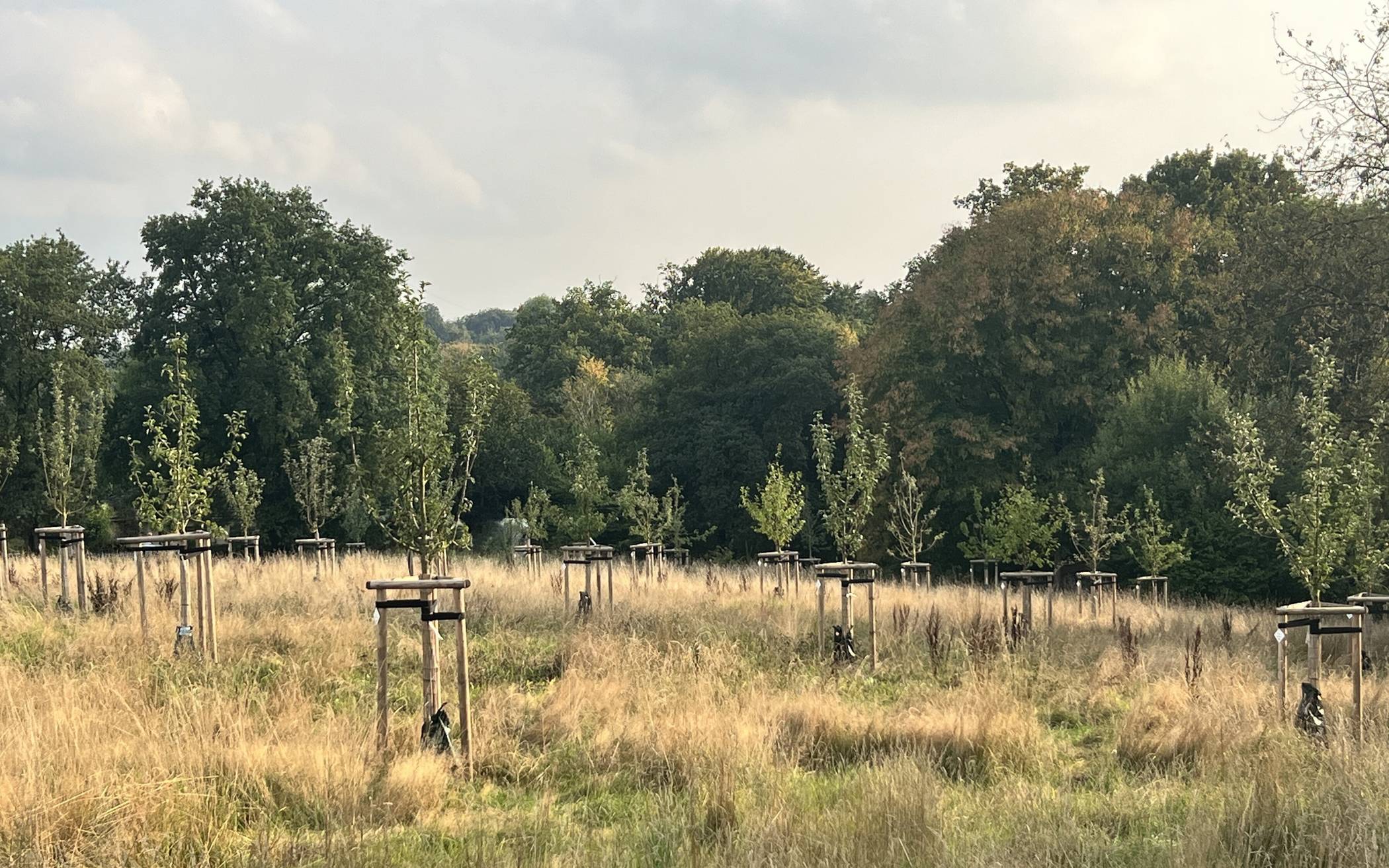 Natur pur in Cronenberg.