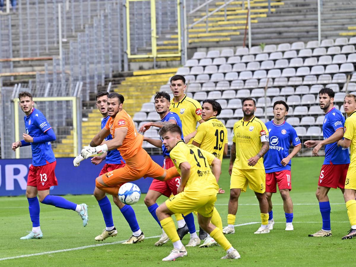 WSV schlägt Wiedenbrück
