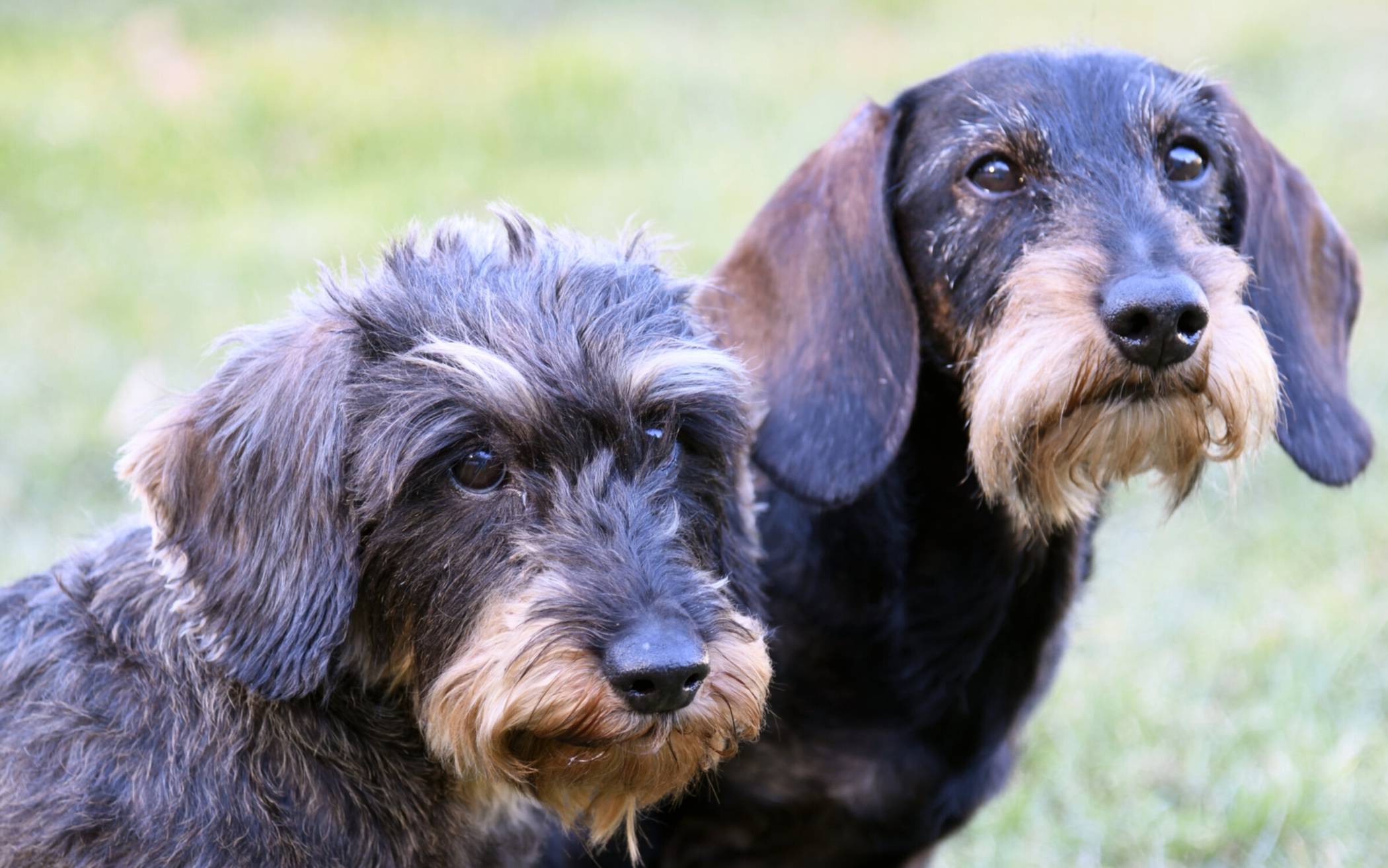 Christoph Wontroba und Isabella Wontroba (Eheleute