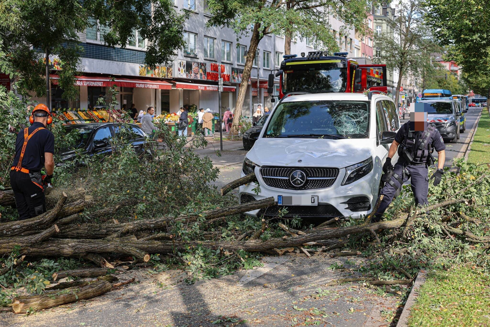 Der Baum wurde mit einer Kettensäge zerteilt.