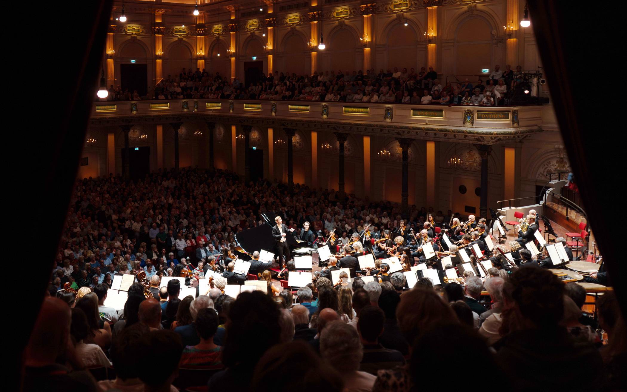 Das Sinfonieorchester.