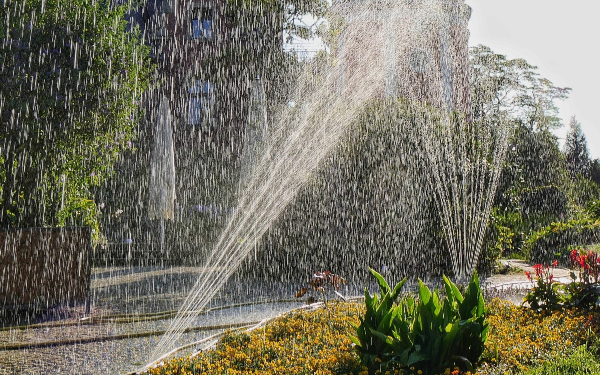 Bewässerung im Botanischen Garten auf der