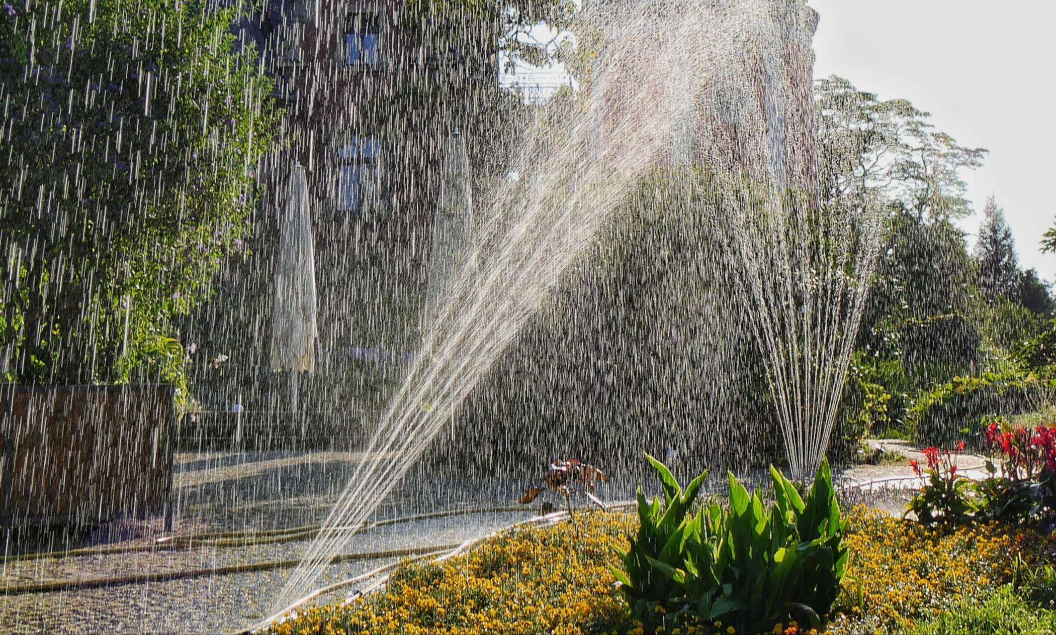 Bewässerung im Botanischen Garten auf der Hardt.