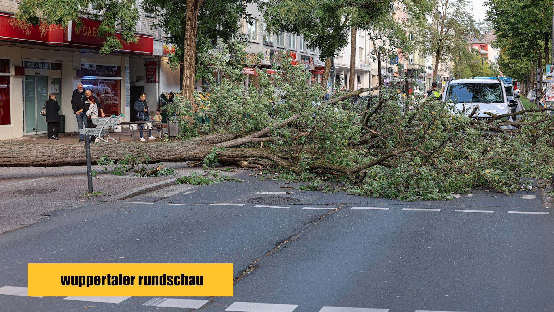 Straßenbaum stürzt auf die B7
