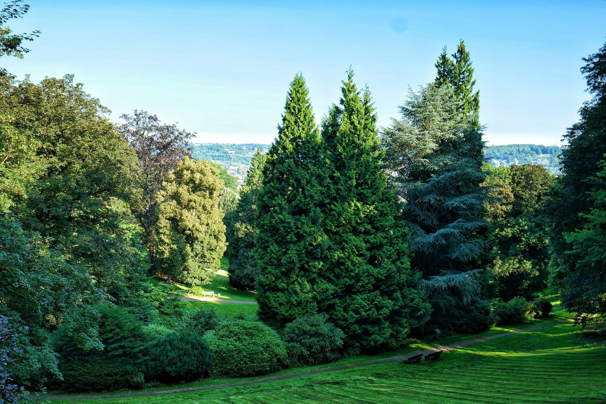 Ein Blick auf die Barmer Anlagen.